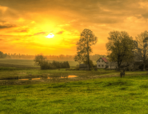 homestead layout ideas