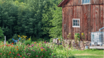 homestead plan, creating a self-sufficient sanctuary