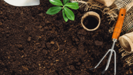 survival gardening, growing food for sustainability