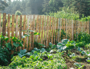 survival gardening tips