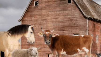 survival livestock, choosing the right animals for self-sufficiency